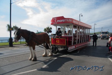 Douglas Prom - The home of the Horse Trams