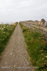 The path to Scarlett Point, Castletown.
