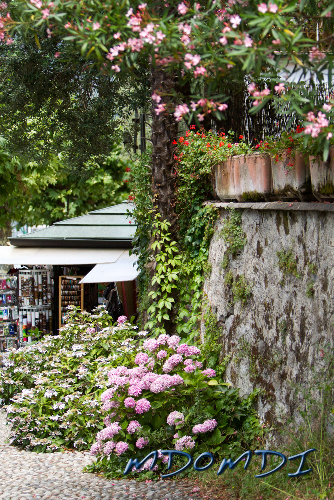 They certainly cared about these island off Stresa, they were just beautiful.