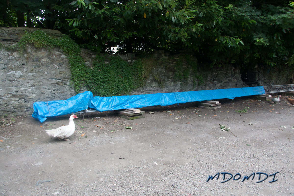 Down and safe for the time being, covered up as best I can to stop the ducks from shitting on it.