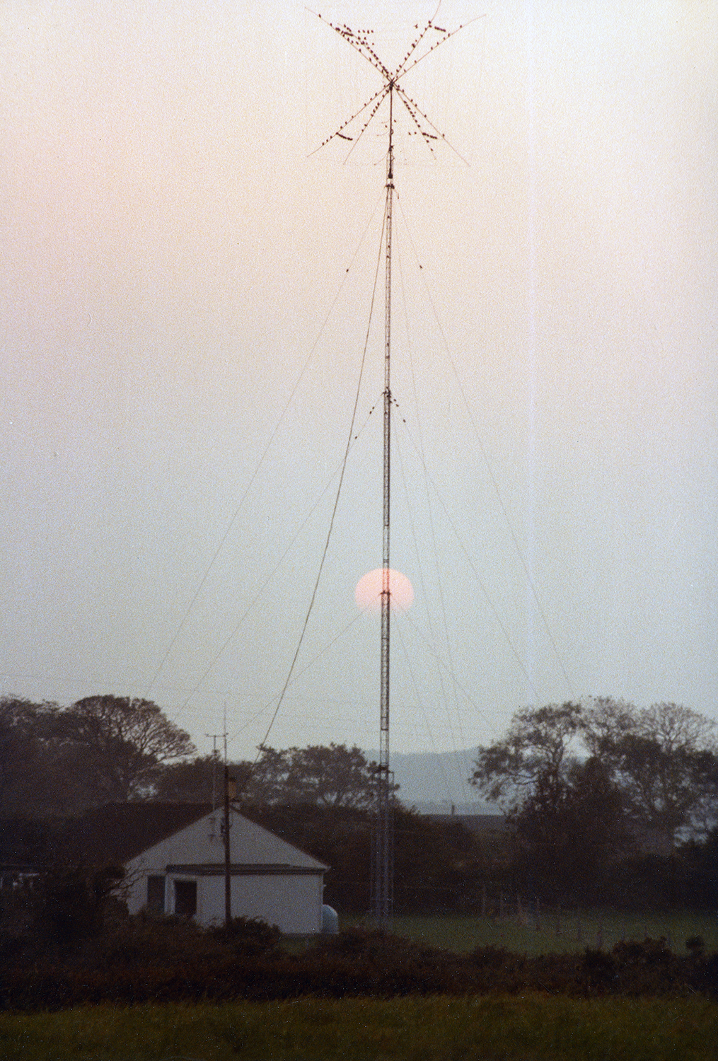It looks like the homemade Cubical Quad Antenna was a firm favourite with the local birds.