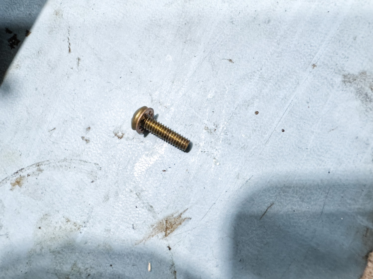Keep the screw safe, in my case in a small pot hidden from the cats.