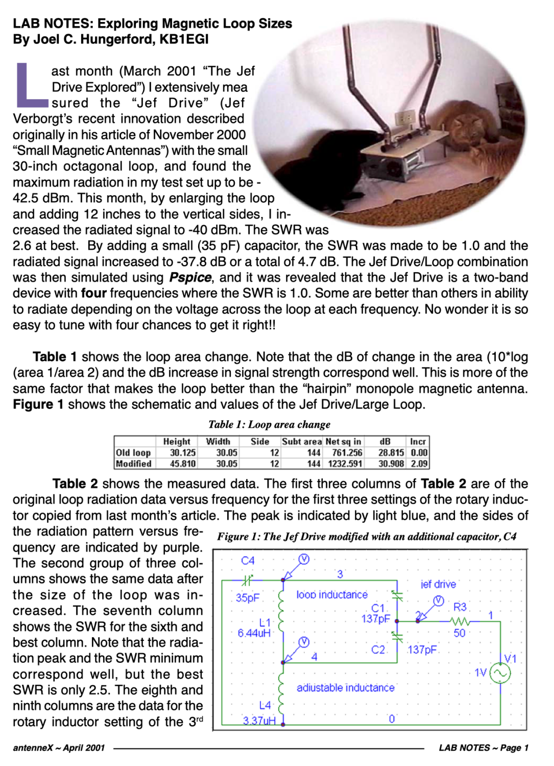 Exploring Magnetic Loop Sizes