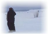 A Close Encounter
