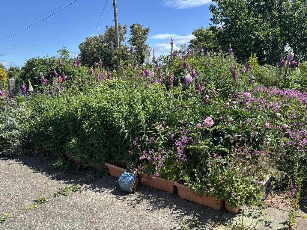 Margarets Garden